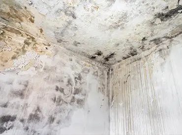 Expert humidité et infiltrations des batiments